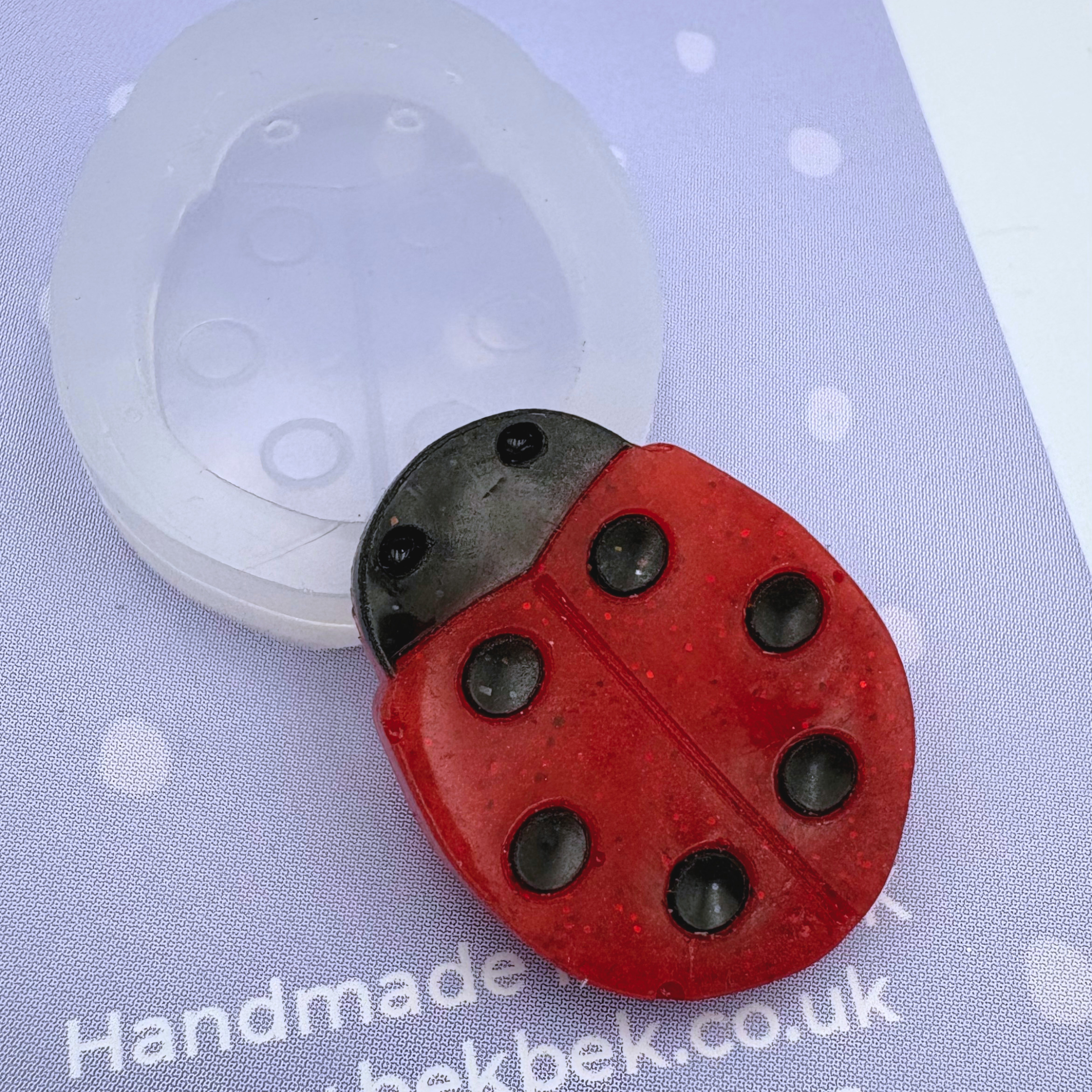Ladybird Reusable Silicone Mould