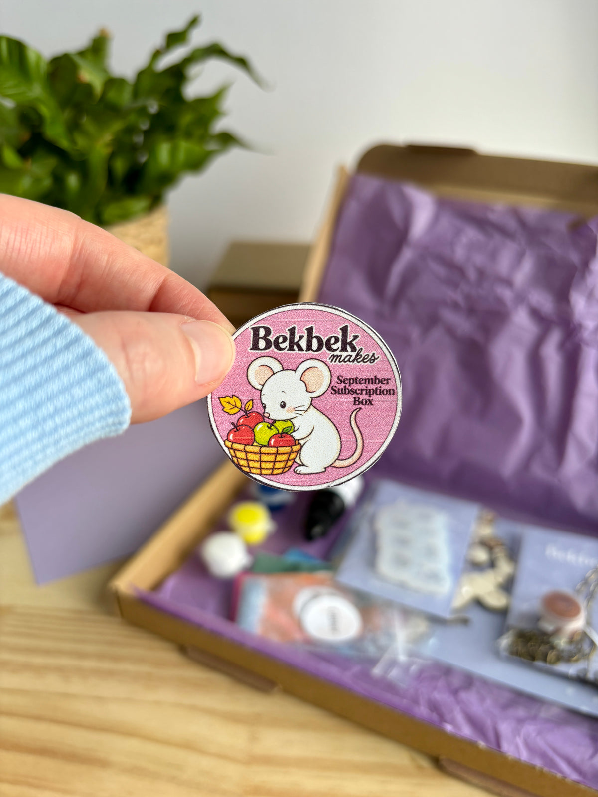Monthly Subscription UV Resin Craft Kit