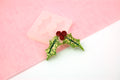 Holly & Berries Reusable Silicone Mould