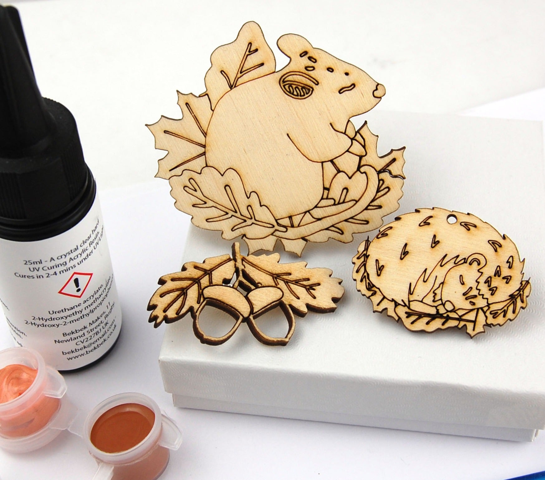 UV Resin Starter Kit  -  Woodland Animals