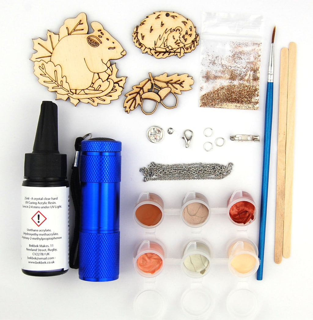 UV Resin Starter Kit  -  Woodland Animals