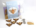 Bee Necklace Add on Kit